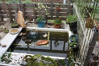 s-IMG_4654.jpg