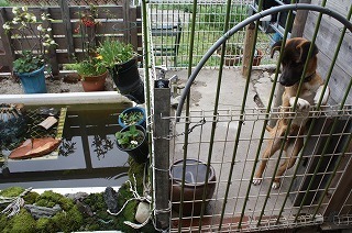 s-IMG_4655.jpg